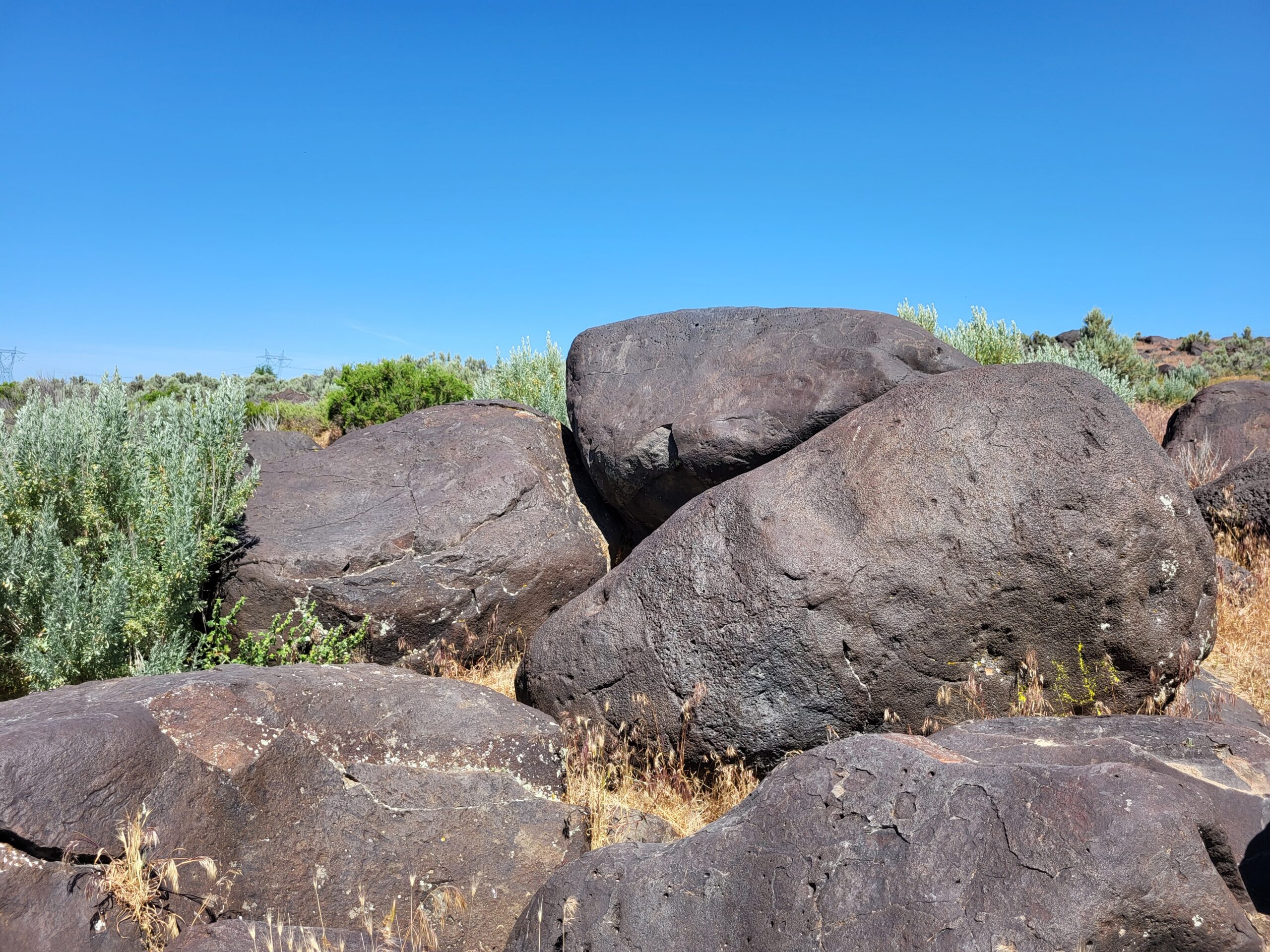 Petrified watermelons, formally called melon boulders, near the Snake River