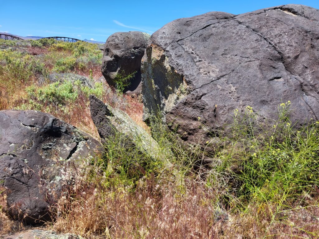 Petrified watermelons, formally called melon boulders, near the Snake River. These have been split either by collisions during the flood or as a result of natural weathering processes. 