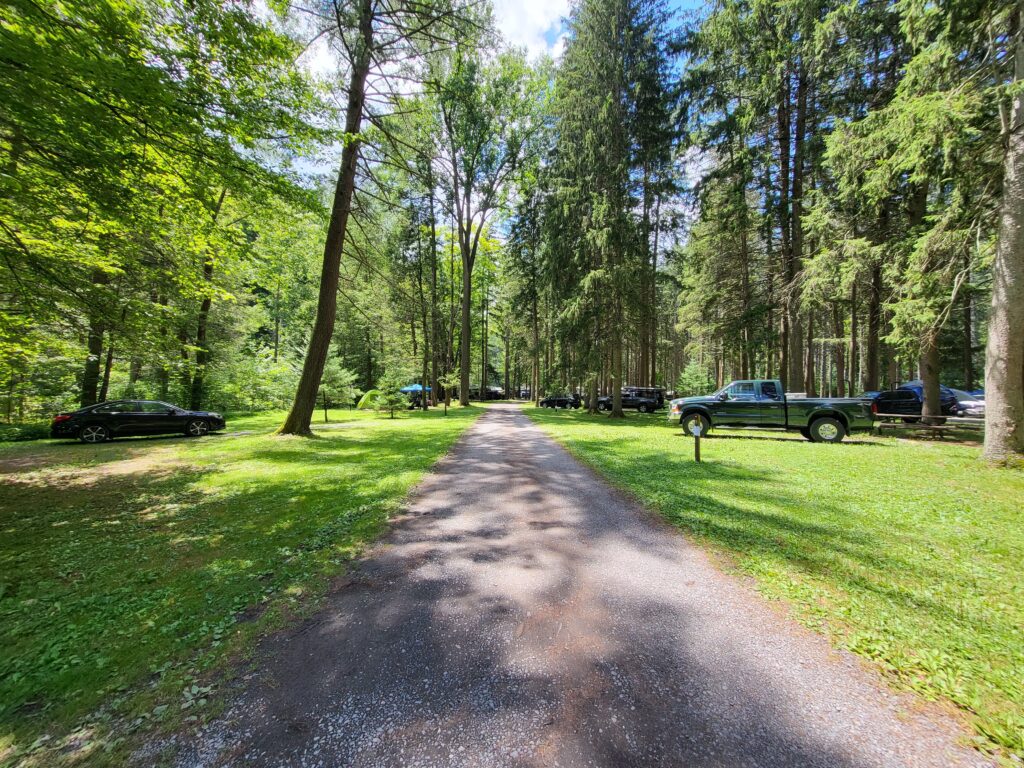 View of the non-electric site loop at Hyner Run State Park Campground